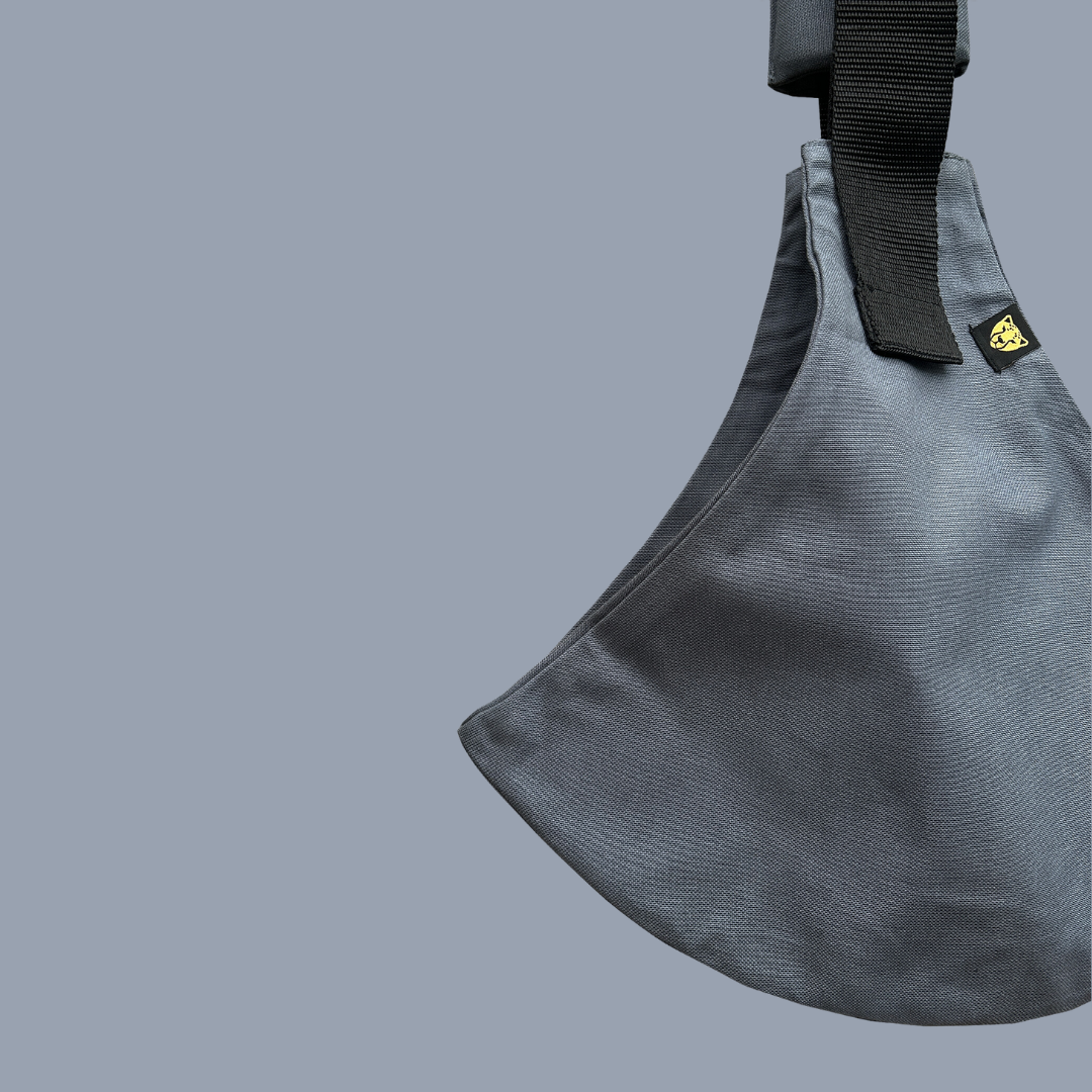 Wildride Toddler Carrier | Iron