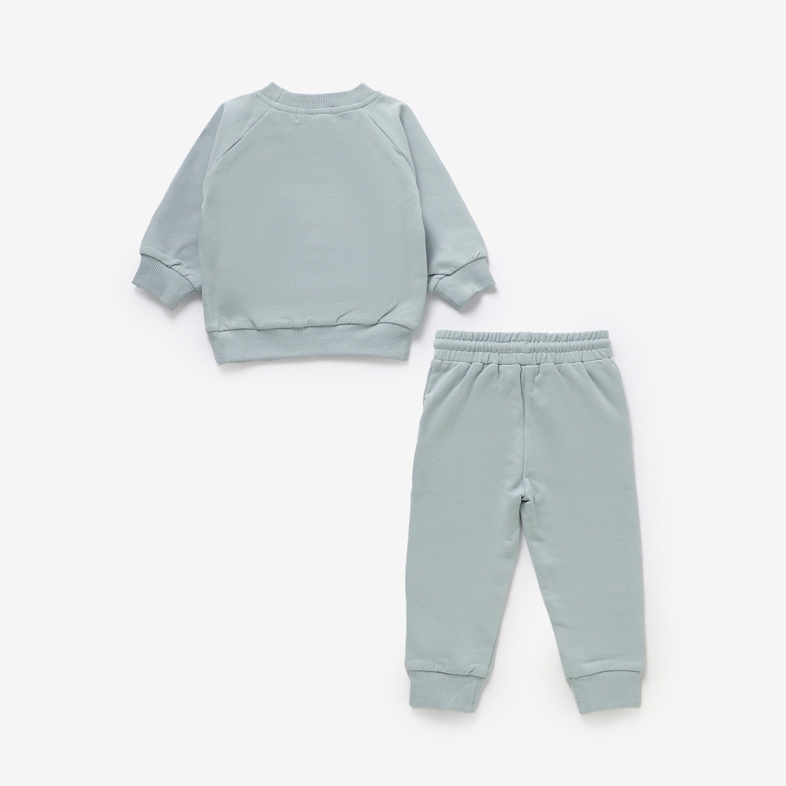 Organic Cotton Travel Set | Sage