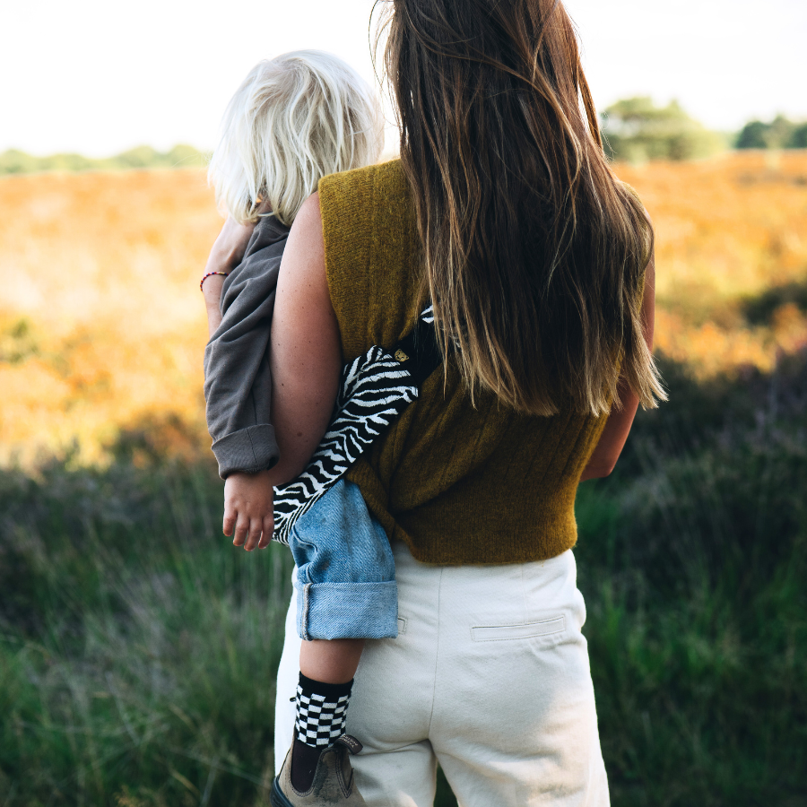 Wildride Toddler Carrier | Black Zebra